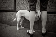 云呼死你